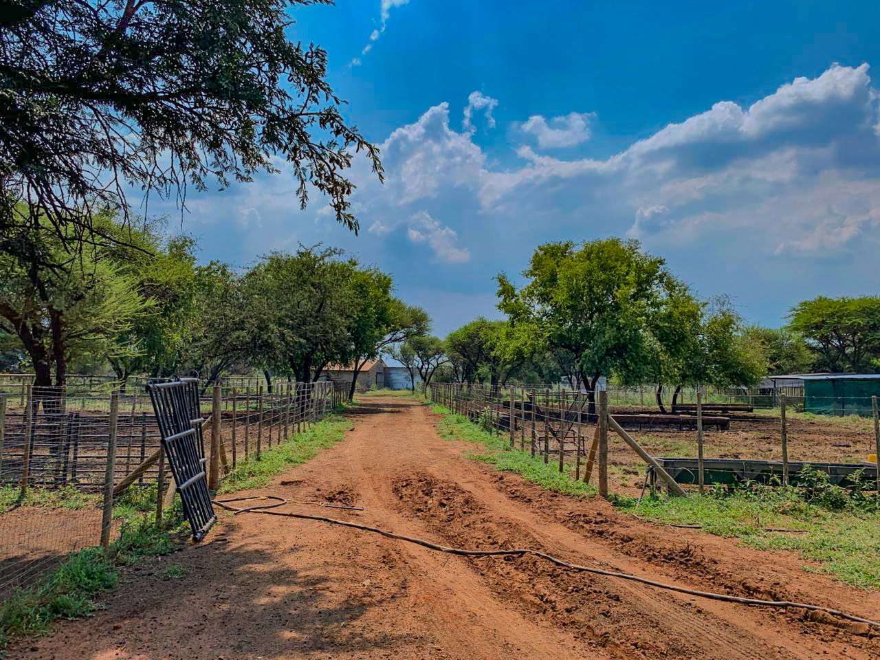 Farm View